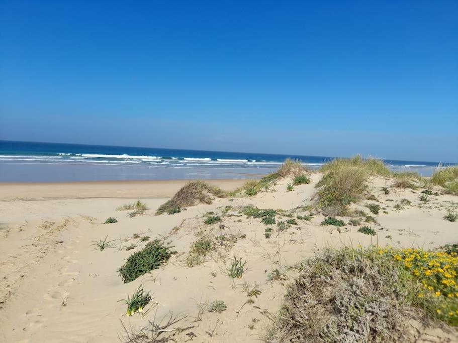 Apartamento Playa La Barrosa Chiclana de la Frontera Εξωτερικό φωτογραφία