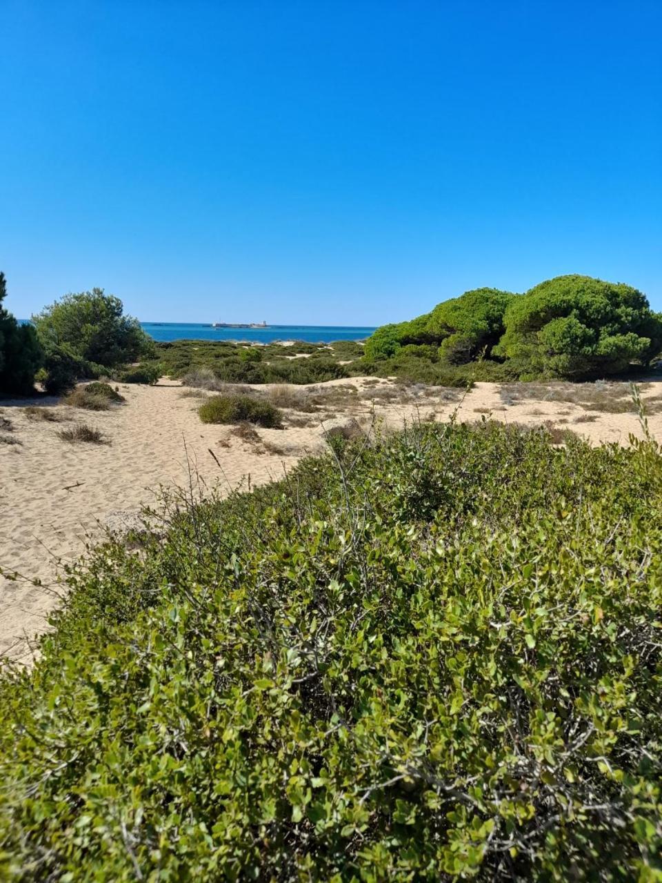 Apartamento Playa La Barrosa Chiclana de la Frontera Εξωτερικό φωτογραφία