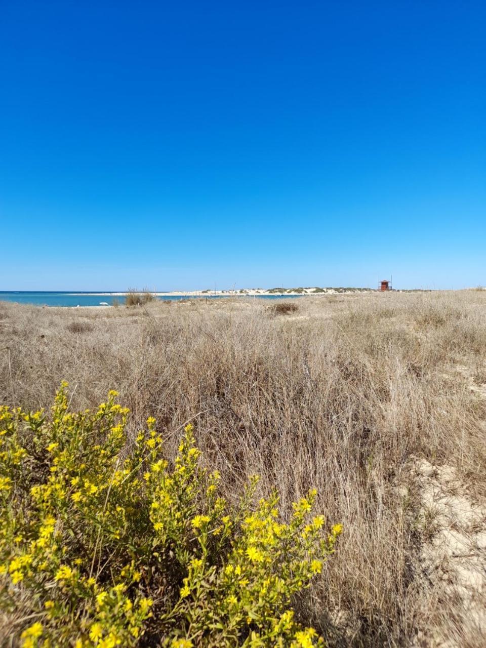 Apartamento Playa La Barrosa Chiclana de la Frontera Εξωτερικό φωτογραφία
